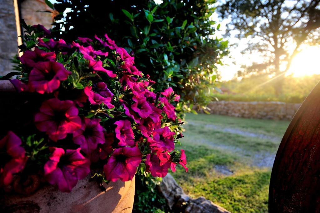 Agriturismo I Monti Semproniano Phòng bức ảnh
